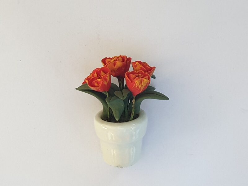 Orange flowers in plant pot