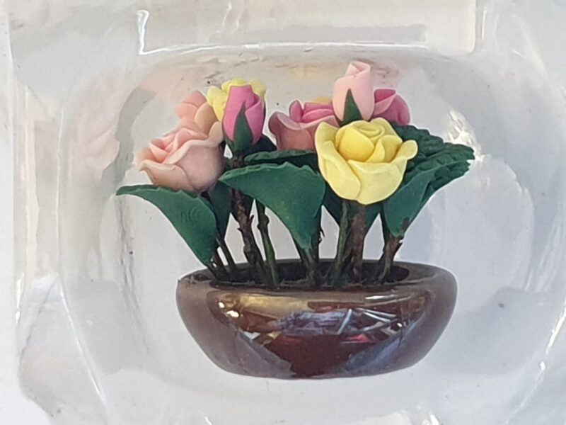 Roses in bowl