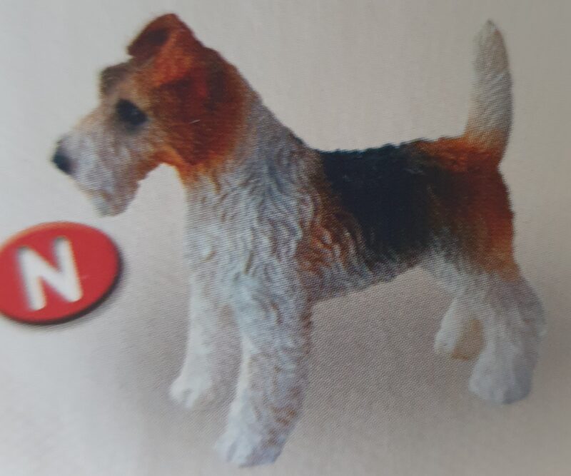 Dog - Terrier