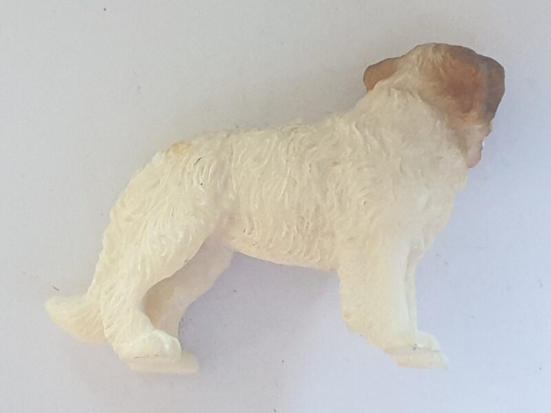 Dog - Labrador - Image 2