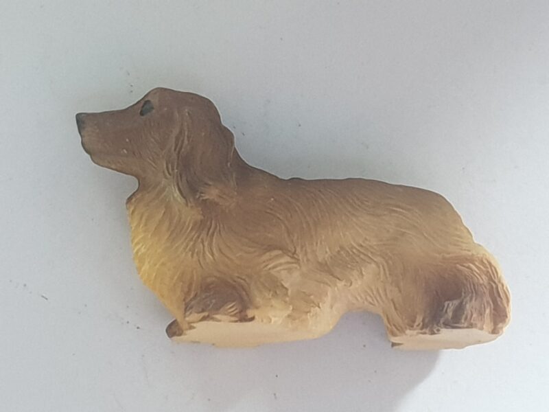 Dog - Dachshund - Image 2