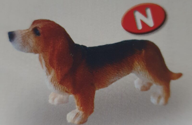 Dog - Basset Hound