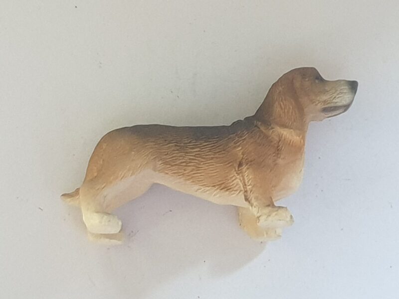 Dog - Basset Hound - Image 2