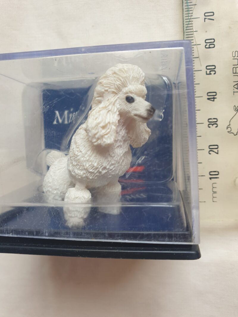 Dog - Poodle