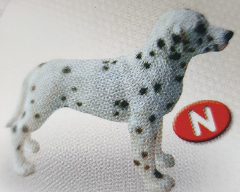 Dog - Dalmatian